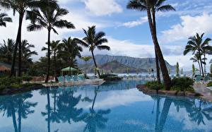 Bureaubladachtergronden Kuuroord Zwembad Palmbomen Kauai Luxury Hotel een stad