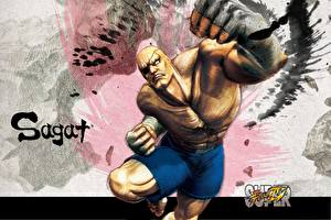 Wallpapers Street Fighter