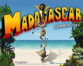 Fonds d'écran Madagascar Dessins_animés