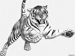 Картинка Большие кошки Тигры Рисованные Белом фоне животное