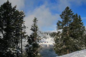 Hintergrundbilder Park Vereinigte Staaten Yellowstone Wyoming Natur
