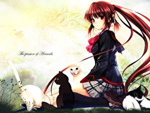 Picture Little Busters Girls