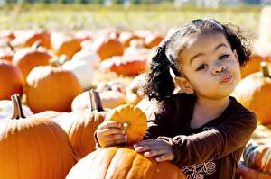 Pictures Pumpkin Little girls Glance Children