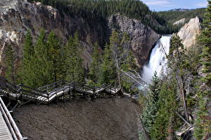Pictures Park USA Yellowstone Grand Canyon Wyoming Nature