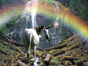 Hintergrundbilder Magische Tiere Einhorn Regenbogen  Fantasy
