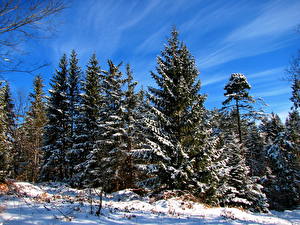 Pictures Seasons Winter Sky Snow Nature