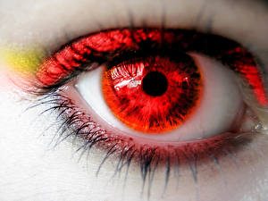 Papel de Parede Desktop Olhos Cílios