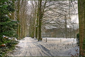 Hintergrundbilder Jahreszeiten Winter Wege Schnee  Natur