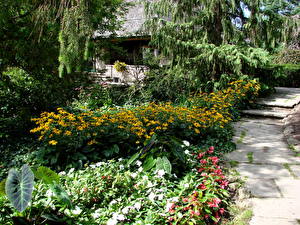 Bakgrundsbilder på skrivbordet Park Toronto Kanada Edwards Garden Natur