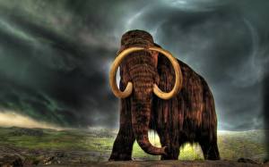 Hintergrundbilder Alte Tiere Mammute Tiere