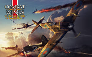 Papel de Parede Desktop Combat Wings: The Great Battles of WWII Aviação