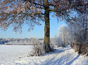 桌面壁纸，，季节，冬季，道路，雪，大自然