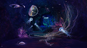 Bakgrunnsbilder Undervannsverdenen Maneter Dyr