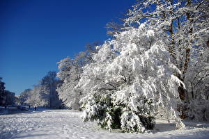 Papel de Parede Desktop Estação do ano Invierno Céu Neve  Naturaleza
