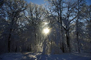 Bilder Jahreszeiten Winter Schnee Lichtstrahl  Natur