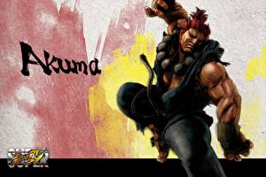 Wallpapers Street Fighter Games