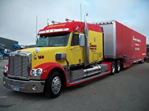 Hintergrundbilder Freightliner Trucks Autos