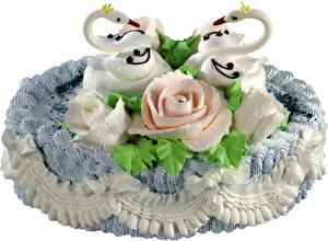 Pictures Cakes White background Food
