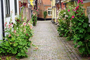 Images Houses Denmark  Cities