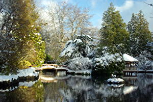 Picture Seasons Winter Canada Snow Hatley Park Japanese Garden Victoria Nature