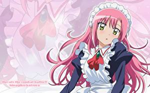 Picture Hayate the Combat Butler Girls