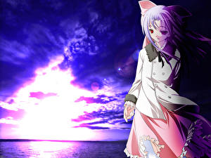 Desktop hintergrundbilder Shingetsutan Tsukihime Anime Mädchens
