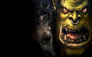 Photo WoW Orc vdeo game