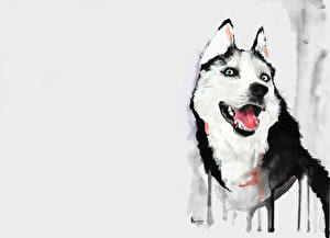 Sfondi desktop Cani Siberian husky