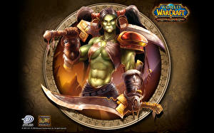 Photo World of WarCraft vdeo game