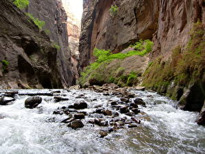 Papel de Parede Desktop Parque Parque Nacional de Zion Estados Unidos Cânions Canyon, Virgin River Utah Naturaleza