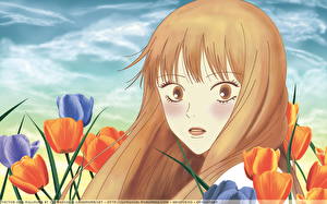 Desktop hintergrundbilder Kimi ni Todoke Anime Mädchens