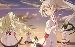 Pictures IS: Infinite Stratos Girls