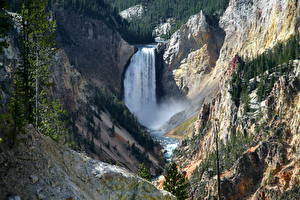 Bakgrundsbilder på skrivbordet Park USA Yellowstone Grand Canyon Natur