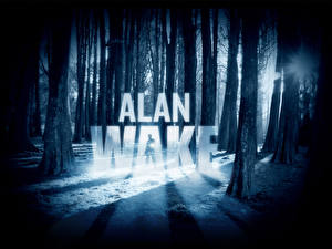 Sfondi desktop Alan Wake Foresta Parole gioco