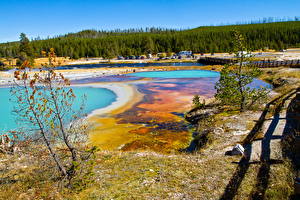 Bakgrundsbilder på skrivbordet Park USA Yellowstone Wyoming Natur