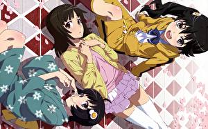 Pictures Monogatari Anime Girls