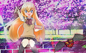 Pictures Kodomo no Jikan Girls