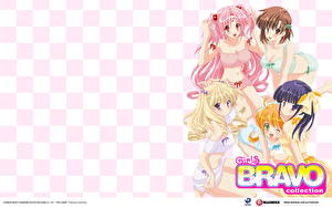 Desktop hintergrundbilder Girls Bravo Anime Mädchens