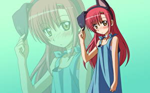 Pictures Hayate the Combat Butler Anime Girls