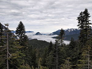 Tapety na pulpit Parki USA Park Narodowy Mount Rainier Washington View from Paradise przyroda