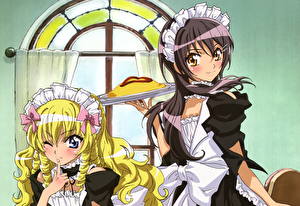 Desktop wallpapers Class President is a Maid! Anime Girls