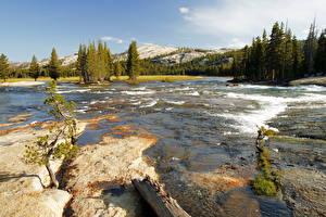 Bilder Park Flusse Vereinigte Staaten Yosemite Kalifornien Tuolumne Natur