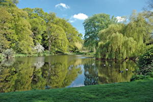 デスクトップの壁紙、、湖、イギリス、The lake at Mount Ephraim Gardens, Kent 、自然