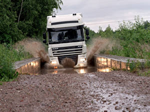 Fotos Lastkraftwagen DAF Trucks automobil