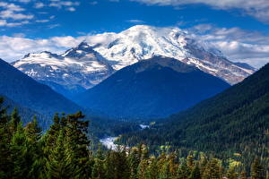 Papel de Parede Desktop Parque Montanha EUA Parque Monte Rainier Washington Naturaleza