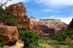 Bilder Park Zion-Nationalpark Vereinigte Staaten Canyon Utah