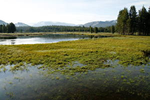 Bureaubladachtergronden Parken Amerika Yosemite Californië Tuolumne Meadows Natuur