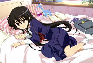 Bakgrundsbilder på skrivbordet Shakugan no Shana Anime Unga_kvinnor