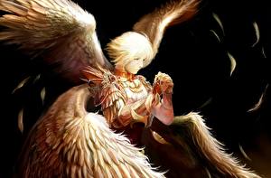 Desktop hintergrundbilder Engel Flügel Fantasy