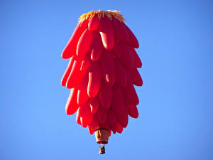 Bilder Heißluftballon lustige
